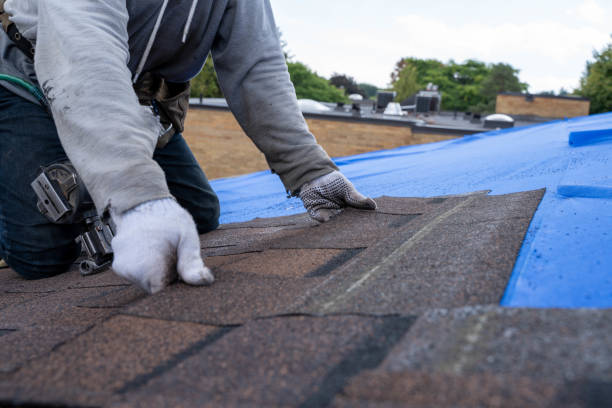 Best Roof Gutter Cleaning  in Sebring, OH