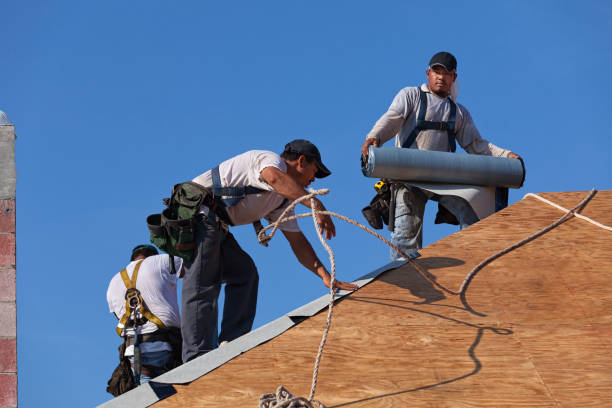 Best Roof Maintenance Services  in Sebring, OH
