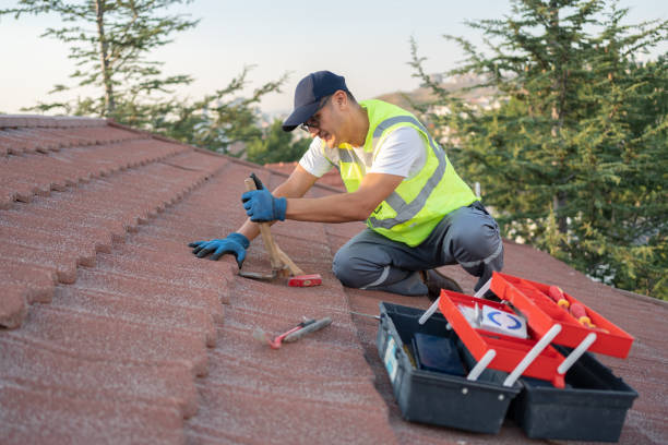 Best Roof Waterproofing Services  in Sebring, OH